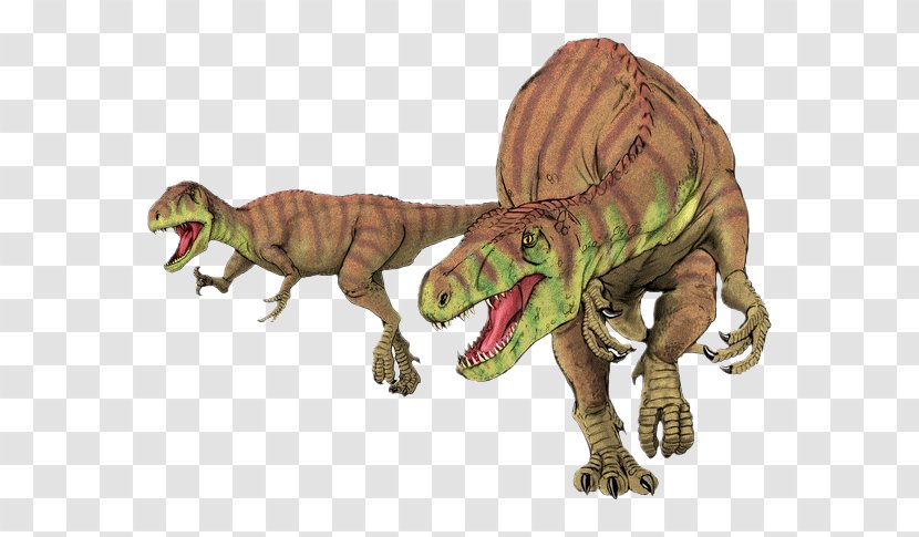 Afrovenator Torvosaurus Eustreptospondylus Megalosaurus Jobaria - Chordate - Dinosaur Transparent PNG