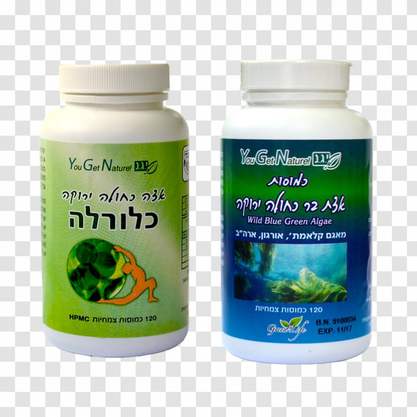 Dietary Supplement Green Algae Aphanizomenon Flos-aquae Chlorella - Flosaquae - Algea Transparent PNG