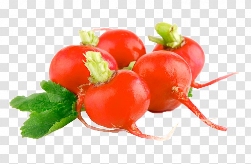 Plum Tomato Radish Vegetarian Cuisine Vegetable Food - Peperoncini Transparent PNG