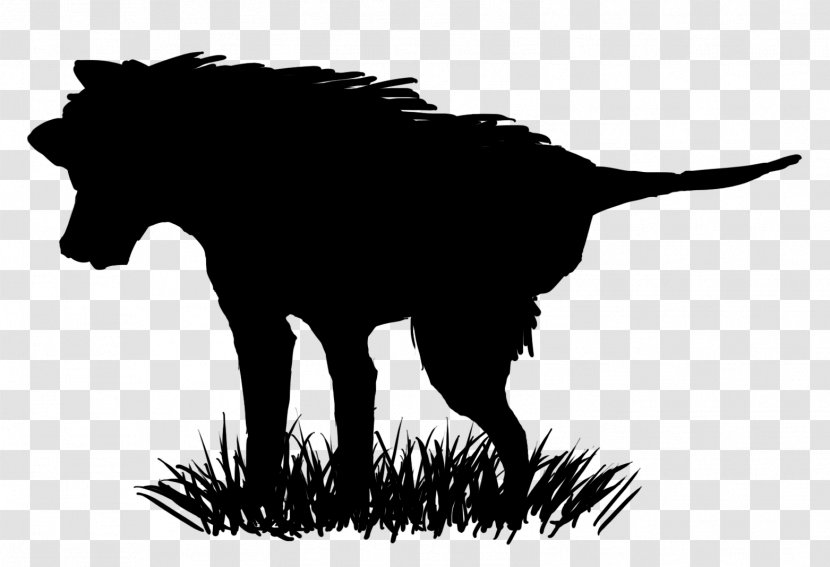 Dog Mustang Snout Mammal Mane - Research Silhouette Transparent PNG
