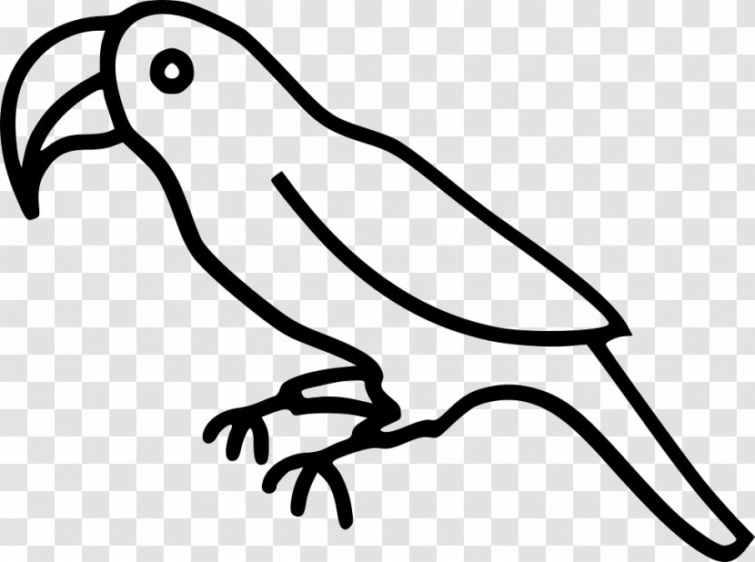 Clip Art Bird Parrot Beak Transparent PNG