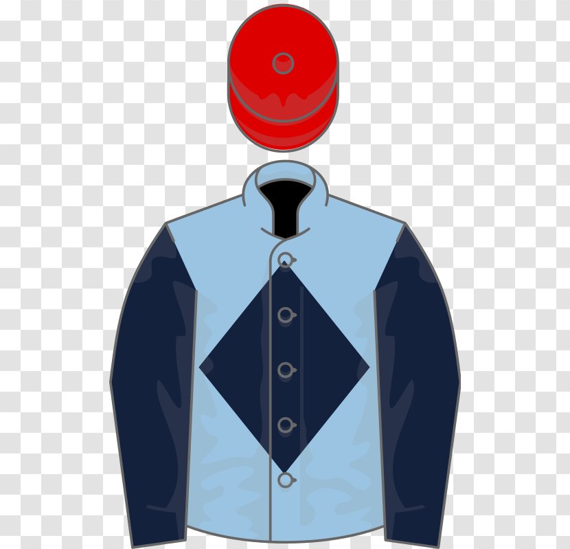 Epsom Derby Grande Course De Haies D'Auteuil Steeplechase Cotswold Chase Grand Steeple-Chase Paris - Triple Crown Of Thoroughbred Racing - National Hunt Transparent PNG