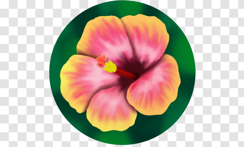Rosemallows Pansy Annual Plant - Flower - It's The Pet Fest Part 2 Transparent PNG