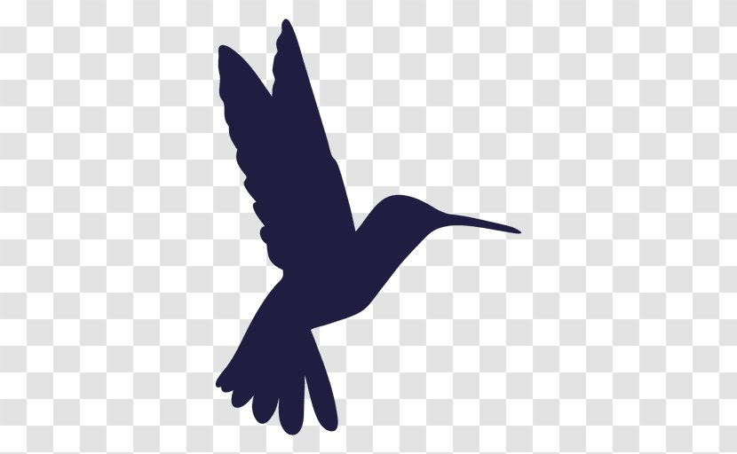 Hummingbird Silhouette Drawing - Feather Transparent PNG