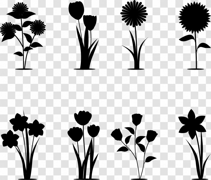 Euclidean Vector Flower Floral Design Silhouette - Flora Transparent PNG