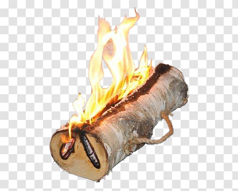 Bonfire Yule Log Fireplace Light - Torch - Burn Transparent PNG