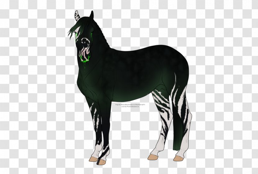 Mane Mustang Stallion Foal Mare - Horse Transparent PNG