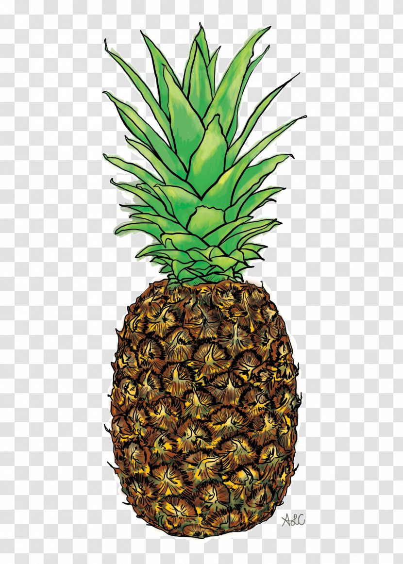 Pineapple Graphic Design Painting Wacom Cintiq Companion Hybrid 32 GB - Android 4.2 (Jelly Bean)Pineapple Transparent PNG