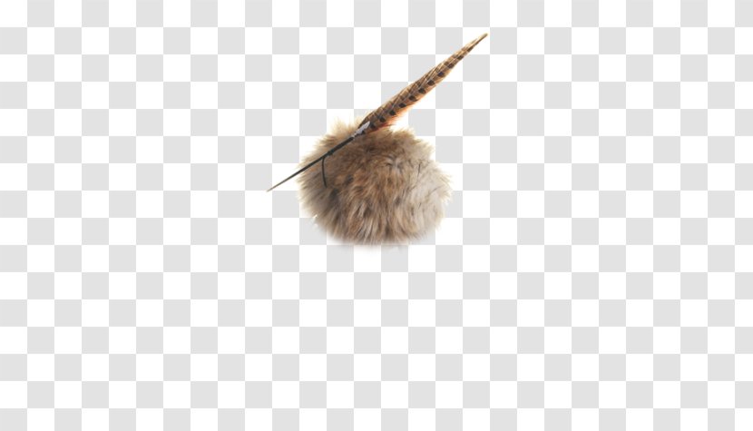 Feather Fur - With Hat Transparent PNG