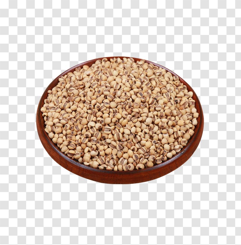 Cereal Tea Barley Rice - Wheat - Grains Transparent PNG