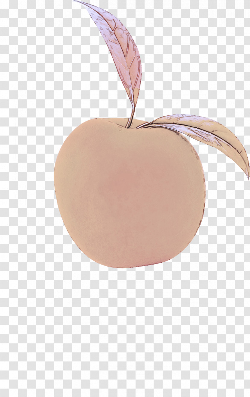 Apple Fruit Plant Leaf Peach Transparent PNG