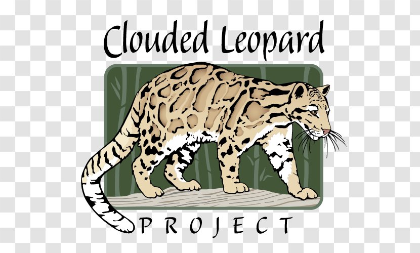 Whiskers Leopard Tiger Ocelot Wildcat - Tail Transparent PNG