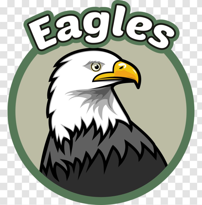Bald Eagle Evergreen Elementary School Primary Education Transparent PNG