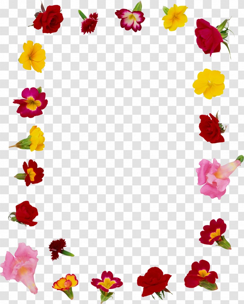 Edible Flower Picture Frames Garden Roses - Magenta - Yellow Frame Transparent PNG