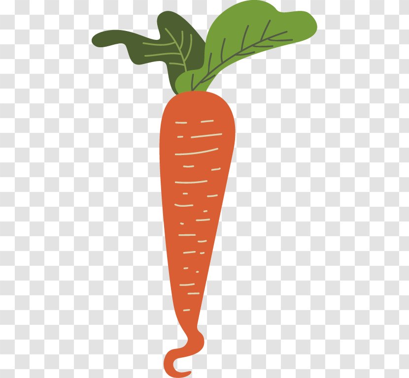 Carrot Vegetable Radish - Leaf Transparent PNG