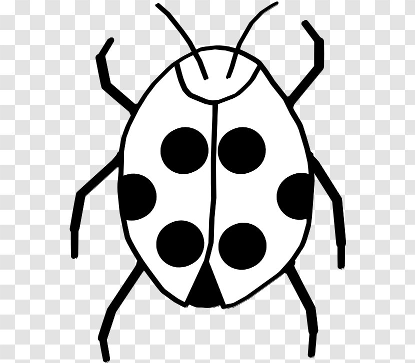 Ladybird Beetle Clip Art Black And White Image Transparent PNG