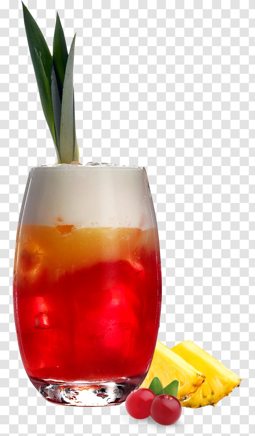 Cocktail Garnish Sea Breeze Juice Wine - Fruit Transparent PNG