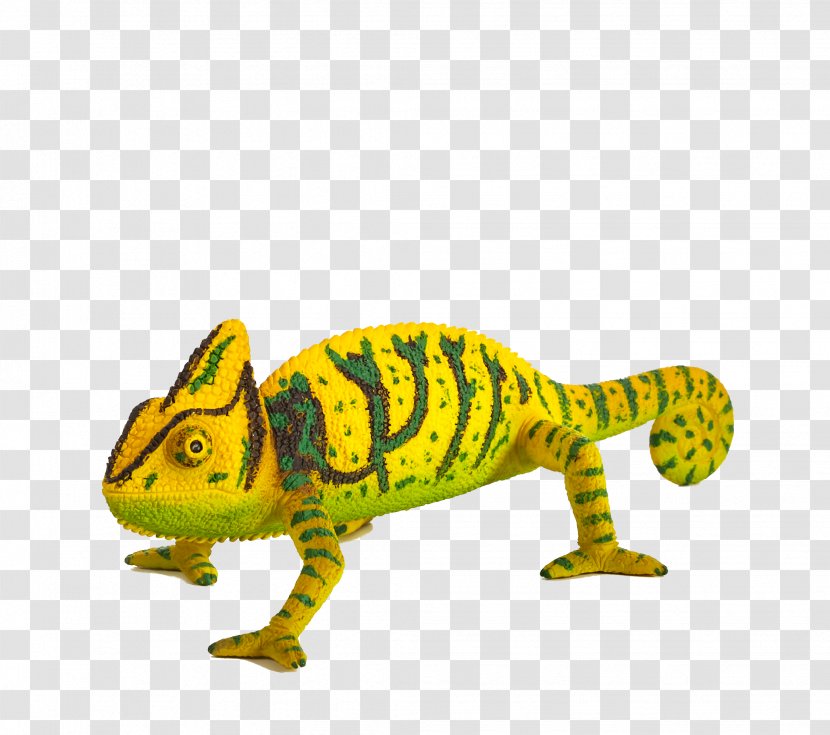 Chameleons Reptile Lizard Triceratops Horse - Organism - Chameleon Transparent PNG