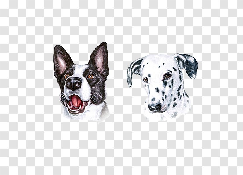 Dog Painter Illustrator Painting Illustration - Breed - Cute Spotted Transparent PNG