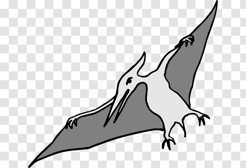 Pterodactyls Tyrannosaurus Spinosaurus Pterosaurs Flying Reptiles - Water Bird - Dinosaur Vector Transparent PNG