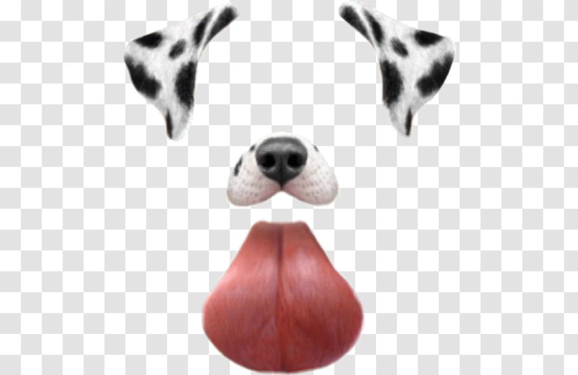 Dalmatian Dog Photographic Filter Dachshund - Breed - Puppy Transparent PNG
