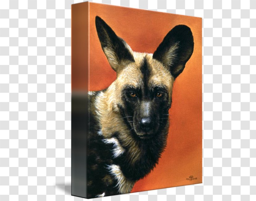 Dog Breed African Wild German Shepherd Dhole Animal - Hunting Transparent PNG