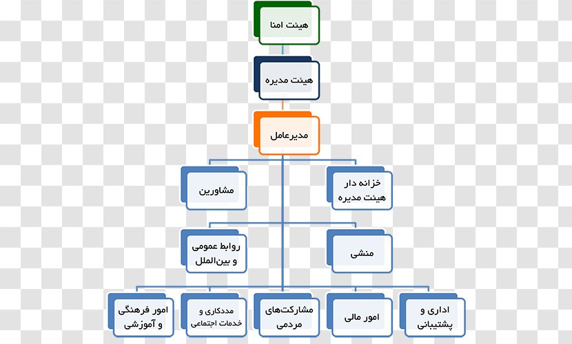 Organizational Chart Project Flowchart - Health Promotion - Hazrat Ali Transparent PNG