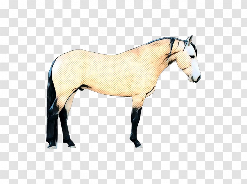Horse Cartoon - Liver - Livestock Transparent PNG