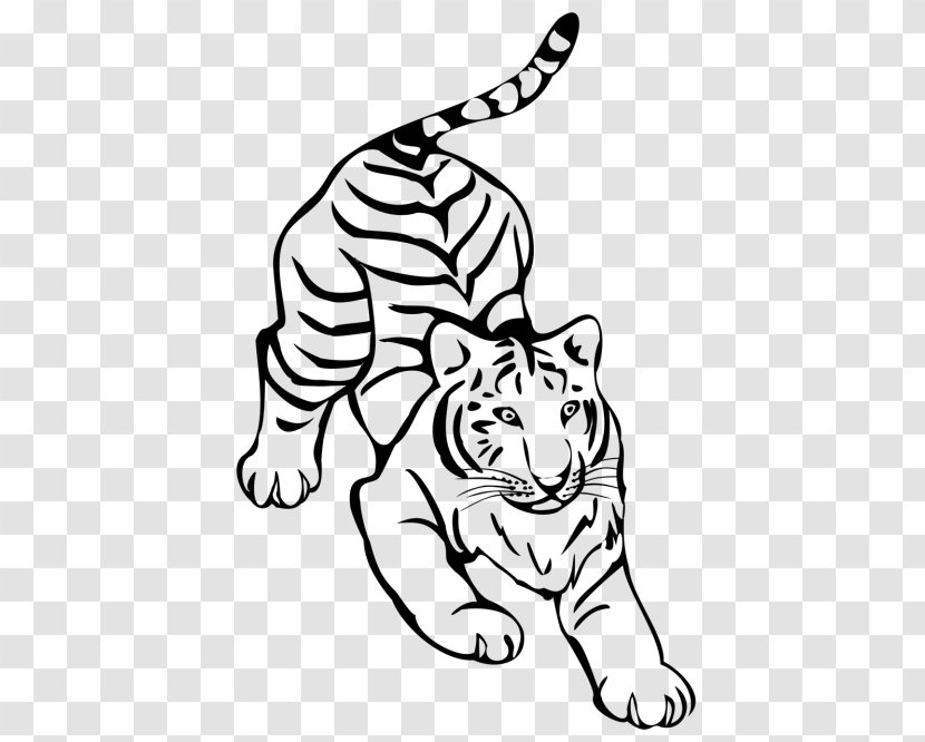 Tiger Felidae Line Art Drawing Clip - Frame Transparent PNG