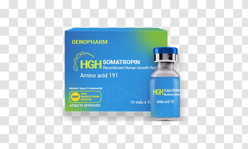 Growth Hormone Therapy Peptide Somatropin Injection - Anabolism - Catabolism Bodybuilding Transparent PNG