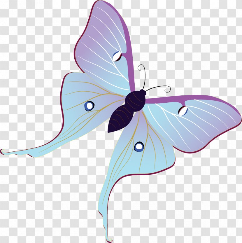 Butterfly Insect Pollinator Arthropod Moth - Organism Transparent PNG