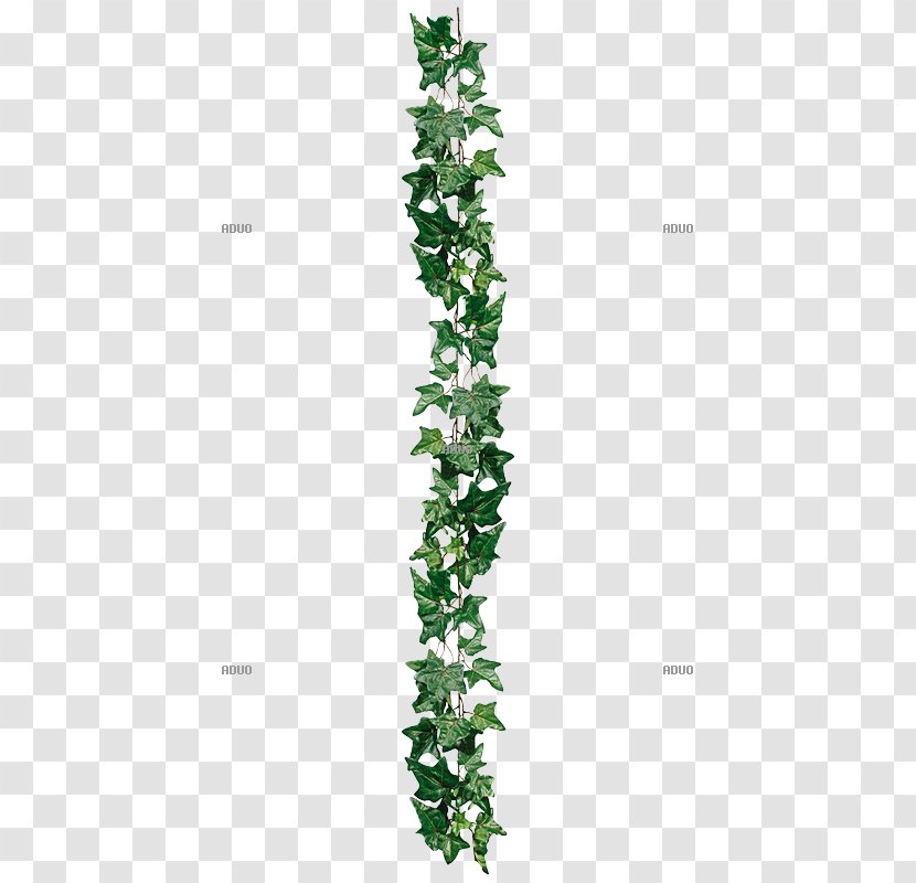 Herb Leaf Plant Stem Tree Transparent PNG