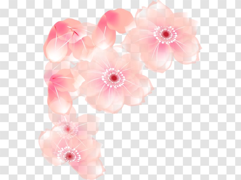 Floral Design Cut Flowers Blossom Petal - Cherry - Flower Transparent PNG