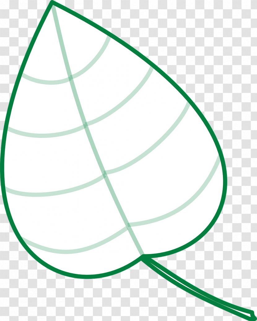 Leaf Angle Clip Art - Area Transparent PNG