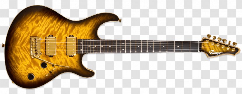 Fender Musical Instruments Corporation Parker Guitars Electric Guitar Stratocaster - Flower Transparent PNG