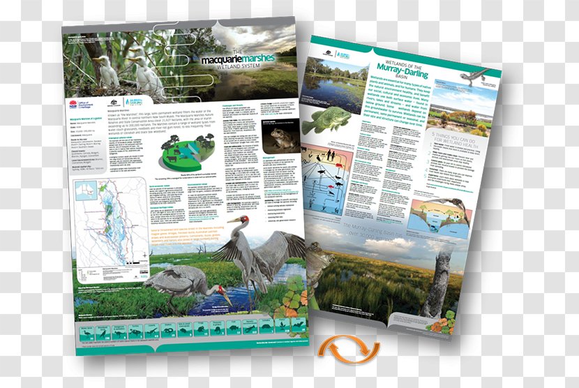 Advertising Fauna Ecosystem Brochure - Environmental Poster Transparent PNG