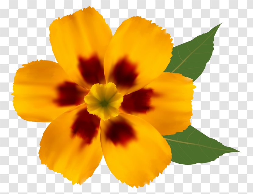Flower Yellow Clip Art - Calendula Transparent PNG