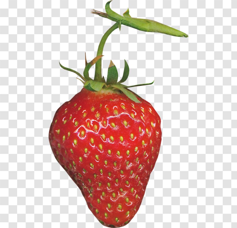 Strawberry Red Aedmaasikas Transparent PNG
