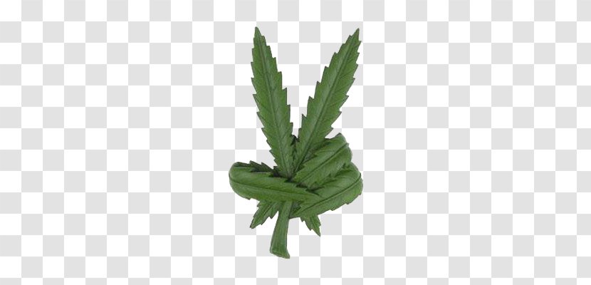 Cannabis Peace Symbols Leaf Smoking Clip Art Transparent PNG