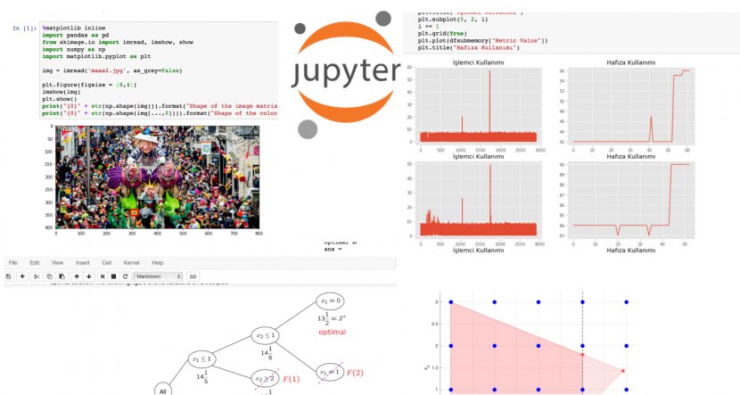 Jupyter Data Diagram Computer Software Transparent PNG