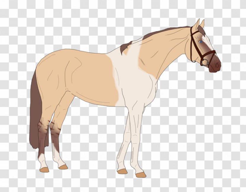 Foal Stallion Mustang Mare Rein - Neck Transparent PNG