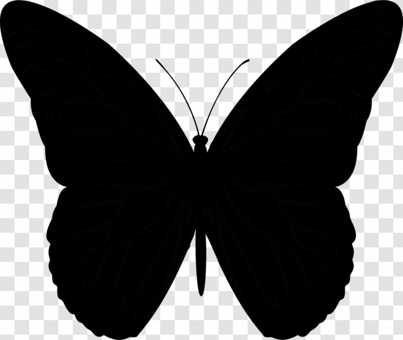 Butterfly Vector Graphics Clip Art Cdr - Monochrome Photography Transparent PNG