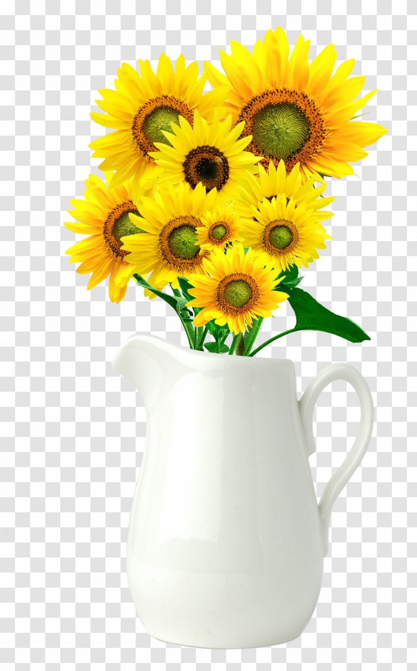 Common Sunflower Vase - Cup - Exquisite Transparent PNG