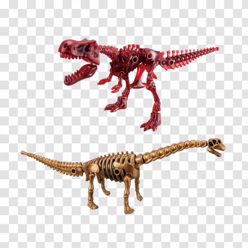 Fukui Prefectural Dinosaur Museum Velociraptor Tyrannosaurus Kabaya Transparent PNG