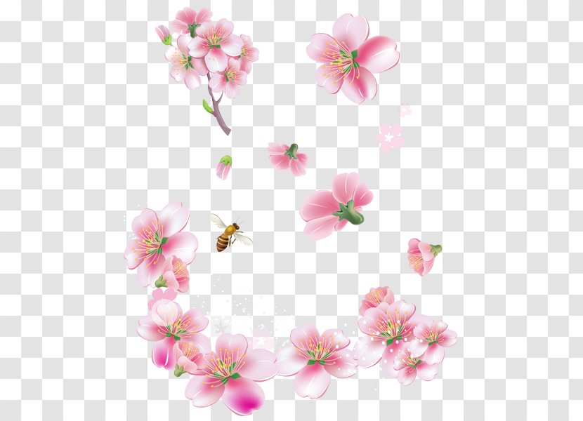 Cherry Blossom - Flower - Wildflower Floral Design Transparent PNG