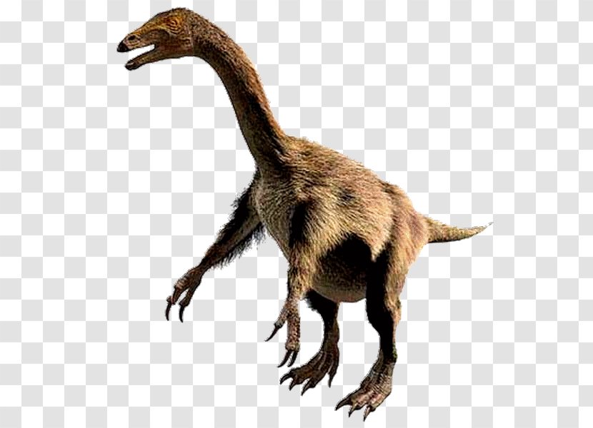 Allosaurus Nothronychus Ankylosaurus Zuniceratops Tyrannosaurus - Coelurosauria - Dinosaur Transparent PNG