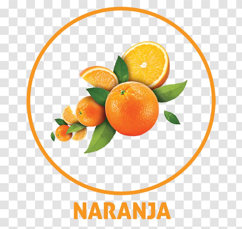 Tangerine Orange Drink Juice - Citric Acid - Mexican Carbonated Beverages Transparent PNG