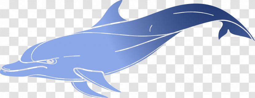Common Bottlenose Dolphin Tucuxi Rough-toothed - Vector Dolphins Transparent PNG