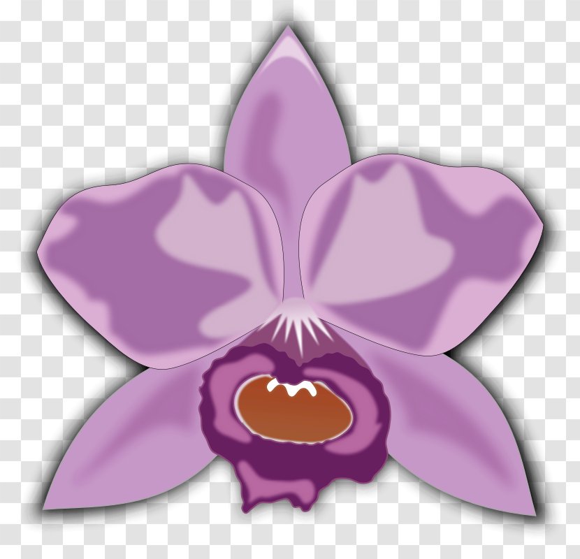 Moth Orchids Cattleya Clip Art - Scalable Vector Graphics - Images For Free Transparent PNG