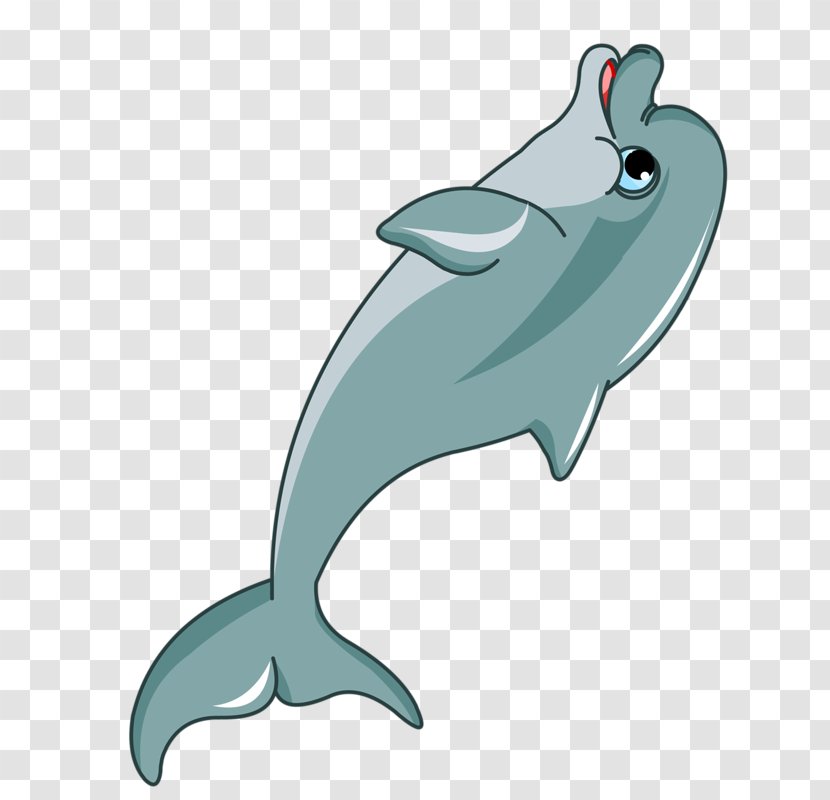 Dolphin Cartoon Clip Art - Fish Transparent PNG